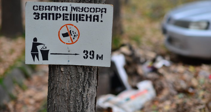 Табличка "Свалка мусора запрещена". Архивное фото