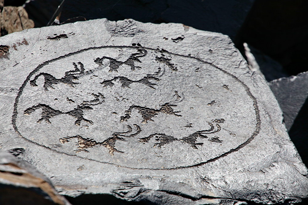 Петроглифы урочища Саймалуу-Таш