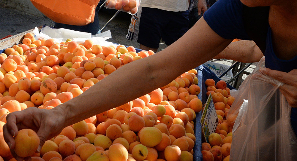 Женщина выбирает абрикосы на рынке. Архивное фото