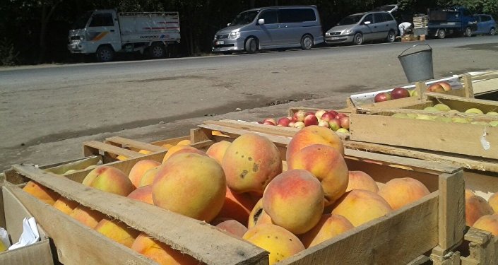 На обочине продают местные персики, урюк, виноград, помидоры и другие виды фруктов и овощей