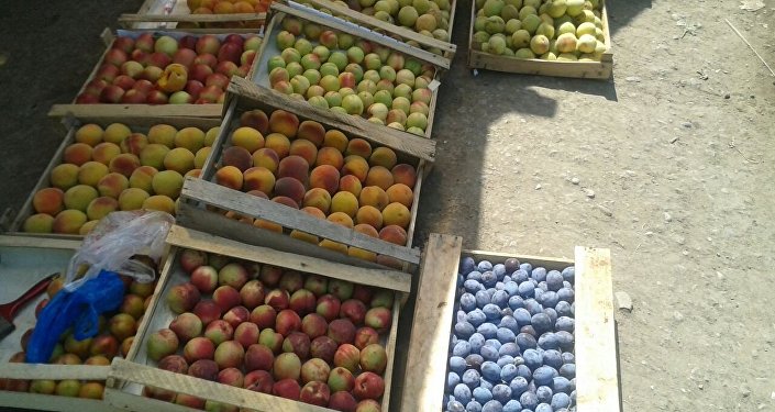 Экспортеров в Россию в этом году мало, поэтому сельчане вынуждены торговать фруктами на обочине дороги Ош — Баткен