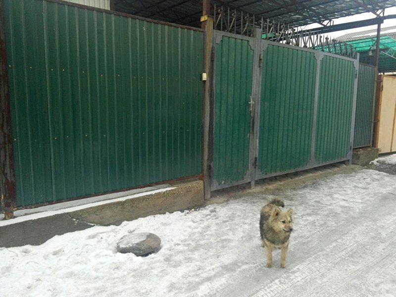 Жилой дом в Бишкеке, где произошло разбойное нападение