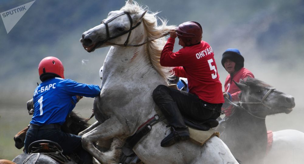 Кыргызы сыграли в кок-бору на Алтае. Брутальные фото с турнира в России