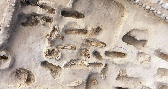 Обнаруженные останки одного из 227 детей, предположительно предложенных в ритуале жертвоприношений доколумбовой культурой Чиму, обнаруженная археологами в секторе Пампа-ла-Крус в Уанчако, в 700 км к северу от Лима.