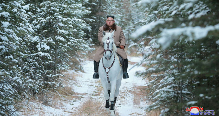 Лидер КНДР Ким Чен Ын в ходе инспекционной поездки по уезду Самчжиен поднялся на священную для корейцев гору Пэктусан на белом коне