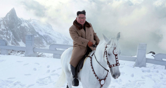 Лидер КНДР Ким Чен Ын в ходе инспекционной поездки по уезду Самчжиен поднялся на священную для корейцев гору Пэктусан на белом коне