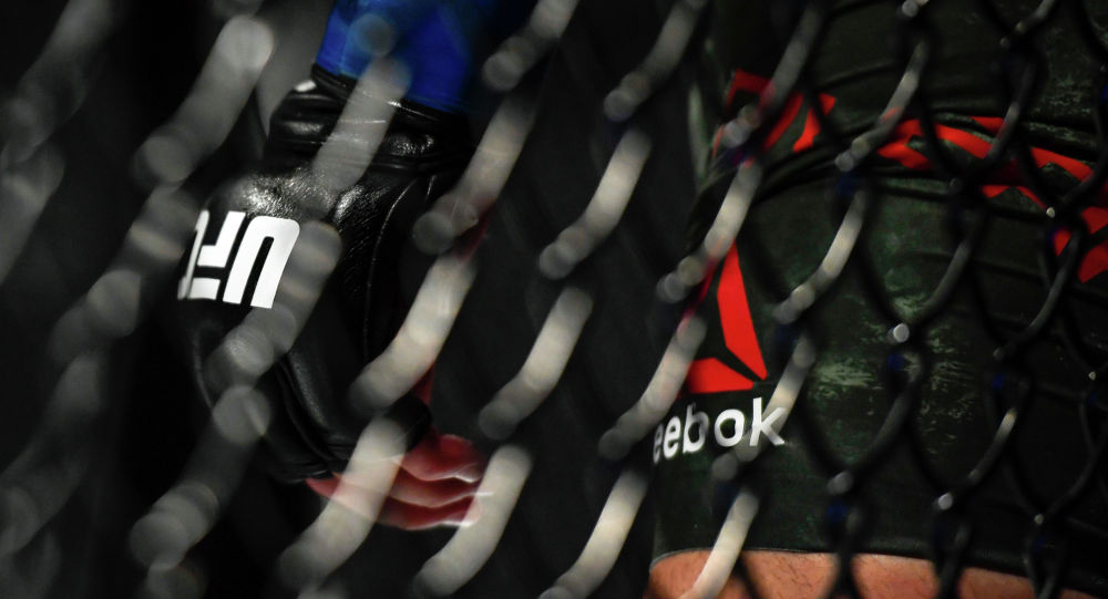 Автора лучшего нокаута в UFC в 2020-м вырубили ногой в голову — видео