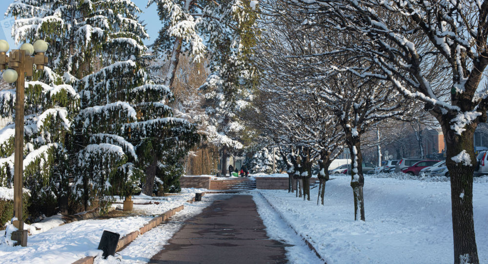 Холодно, но солнечно — погода в Бишкеке 25 января