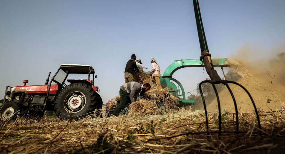 Власти выделили 427 млн сомов на льготные кредиты для фермеров — условия