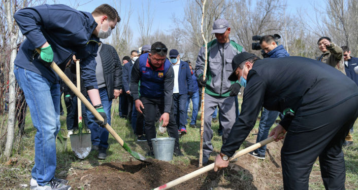 Высадка деревьев премьер-министра Улукбека Марипова с представителями бизнеса и IT— компаний