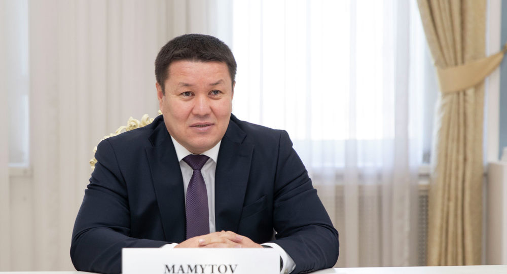 Спикер Мамытов попросил ПРООН помочь восстановить ресурсы парламента