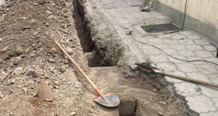 Санитарно-экологическая инспекция мэрии Бишкека оштрафовала некоторые точки общепита и компании за нарушения