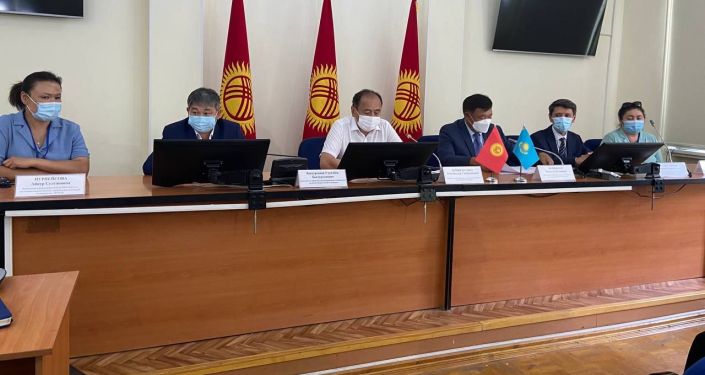 Встреча посла РК Рапиля Жошыбаева с главой Минздравсоцразвития Алымкадыром Бейшеналиевым во время доставки казахстанской вакцины QazVac в Бишкек. 28 июля 2021 года