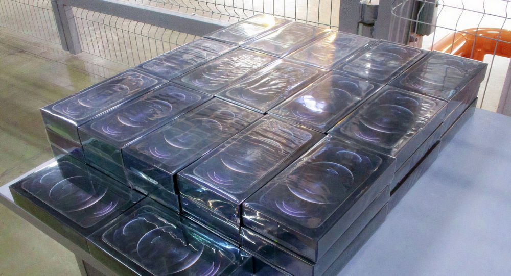 Контрабандные iPhone из КР почти на 50 млн сомов изъяли в аэропорту Москвы
