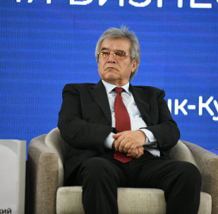 1053599384 киргизская газета дело номер