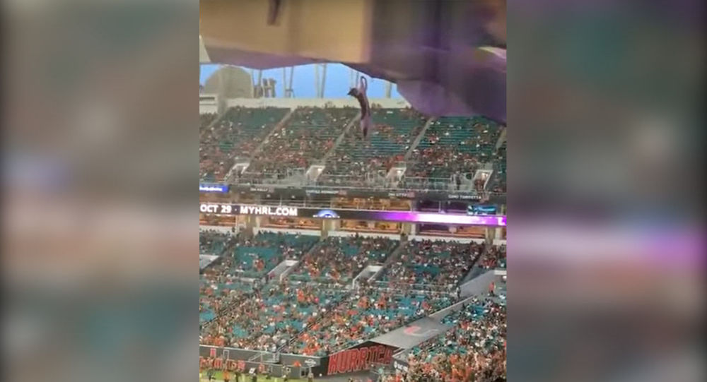 Күйөрмандардын стадиондун үстүнөн кулаган мышыкты сактап калган кызыктуу видеосу
