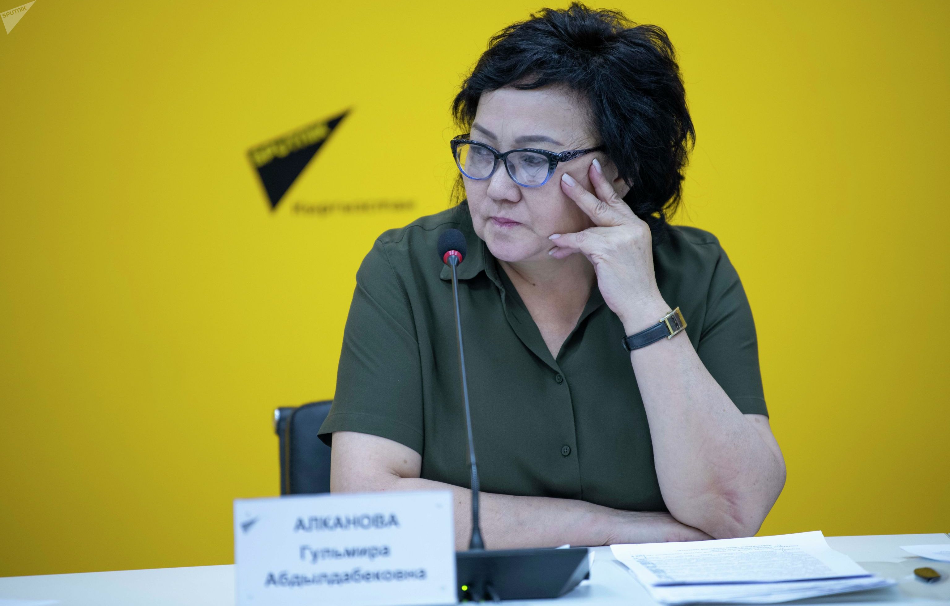 Заведующая отделом содействия занятости Министерства здравоохранения и социального развития Гульмира Алканова на брифинге в мультимедийном пресс-центре Sputnik Кыргызстан