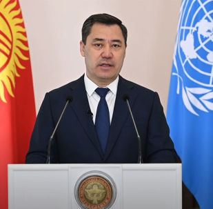 1054201714 киргизская газета дело номер