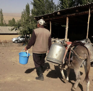 1054202127 киргизская газета дело номер