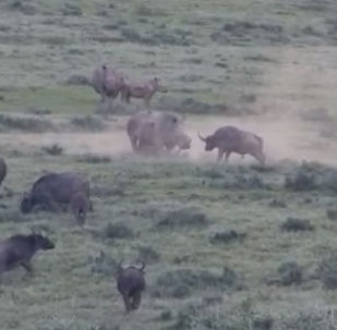 смотреть видео про рыбу меч. Смотреть фото смотреть видео про рыбу меч. Смотреть картинку смотреть видео про рыбу меч. Картинка про смотреть видео про рыбу меч. Фото смотреть видео про рыбу меч смотреть видео про рыбу меч. Смотреть фото смотреть видео про рыбу меч. Смотреть картинку смотреть видео про рыбу меч. Картинка про смотреть видео про рыбу меч. Фото смотреть видео про рыбу меч