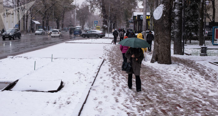 Люди идут по одной из улиц Бишкека во время снегопада
