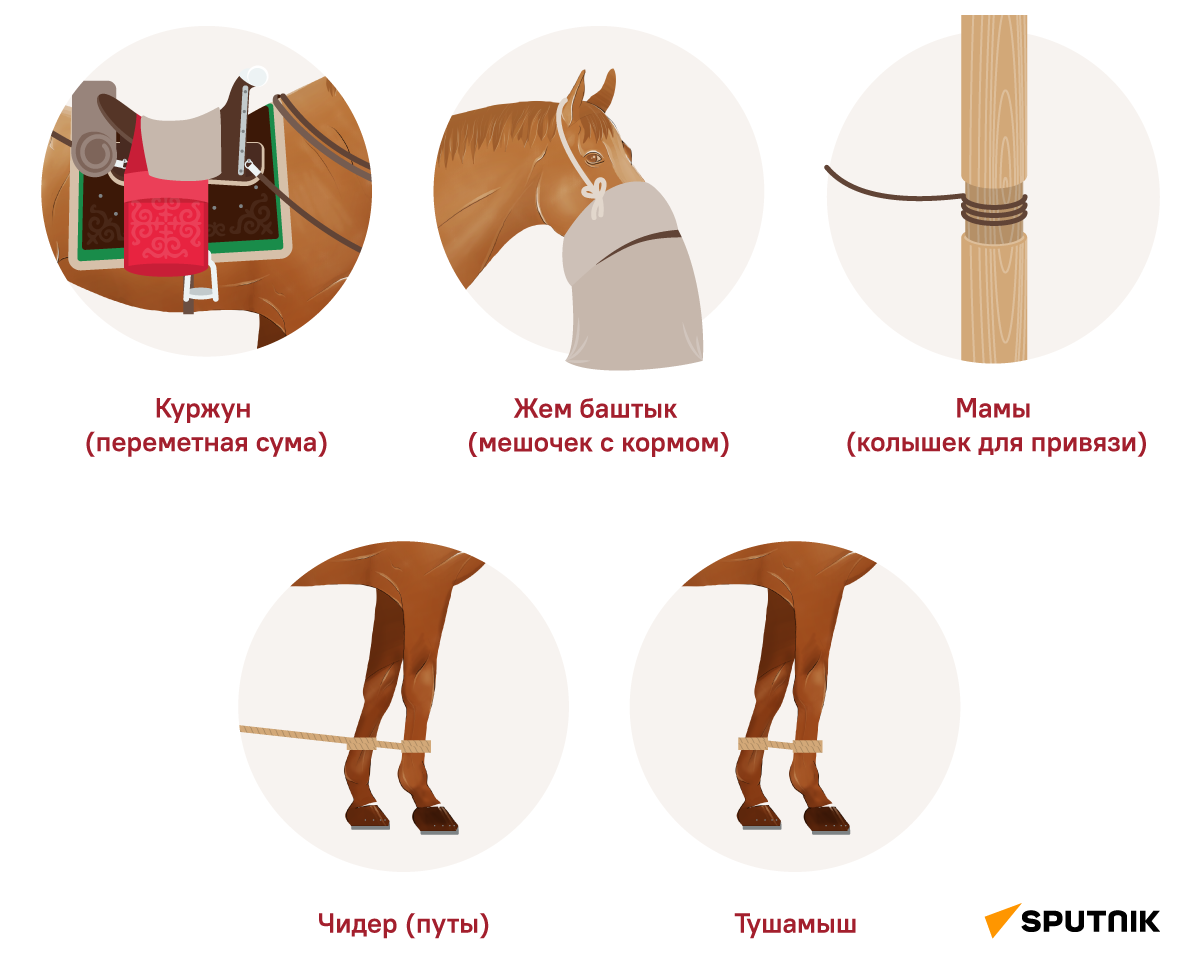 Снаряжение для лошади - Sputnik Кыргызстан
