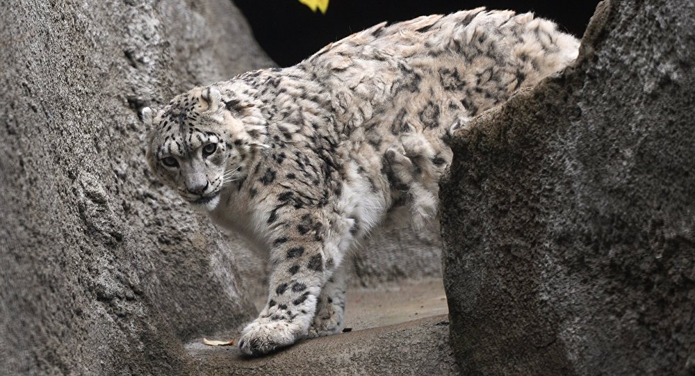 РезÑлÑÑÐ°Ñ Ð¿Ð¾ÑÑÐºÑ Ð·Ð¾Ð±ÑÐ°Ð¶ÐµÐ½Ñ Ð·Ð° запиÑом "Ñн баÑÑ"