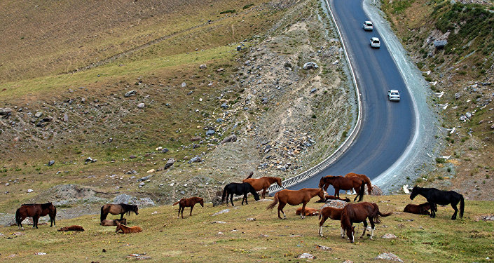 Перевал Тоо-Ашуу на автодороше Бишкек - Ош