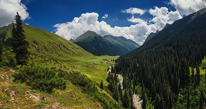 Ущелье Алтын-Арашан в Иссык-Кульской области. Архивное фото
