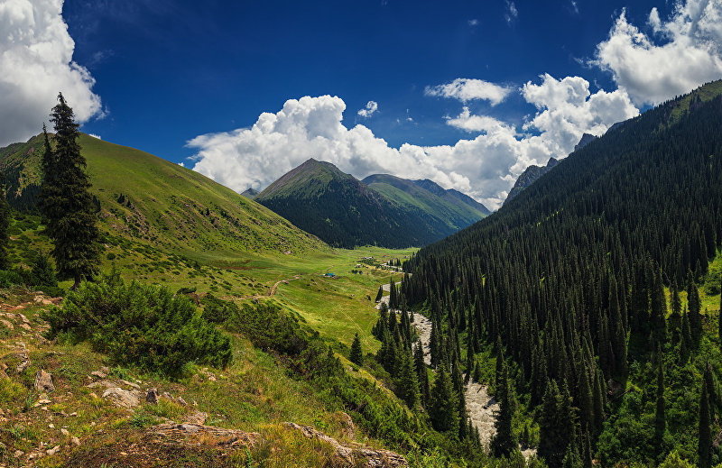 Ущелье Алтын-Арашан в Иссык-Кульской области. Архивное фото