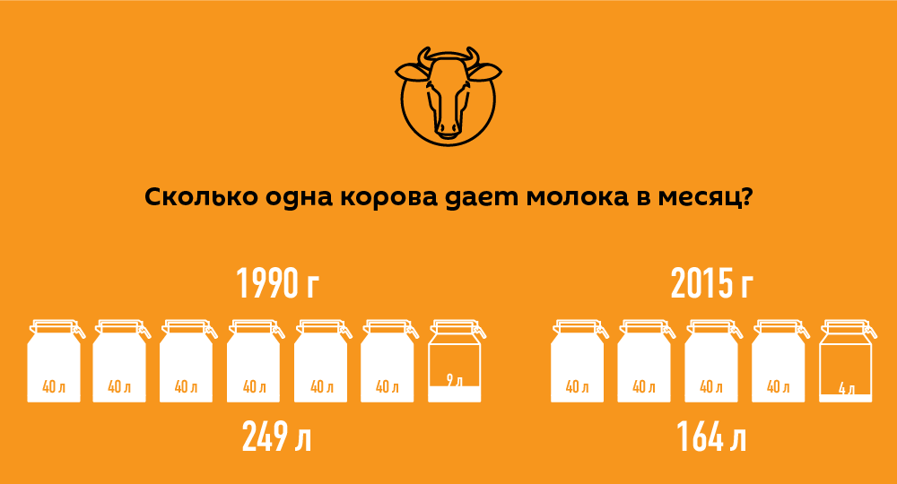 Сколько литров дает корова молока в день