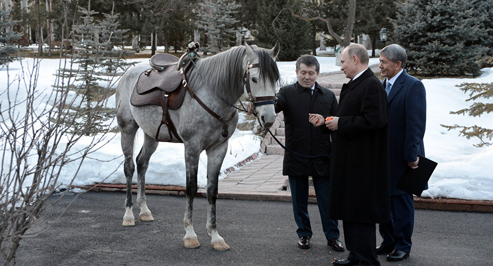 Путин на коне фото