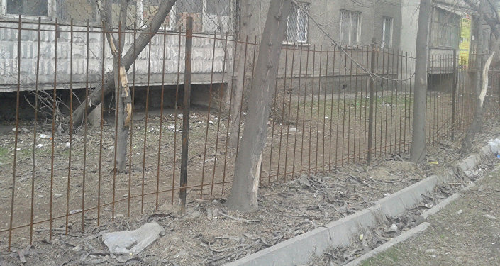 За выброс и сжигание мусора в неположенных местах в Бишкеке нарушителей ждут крупные штрафы, сообщили в пресс-службе мэрии