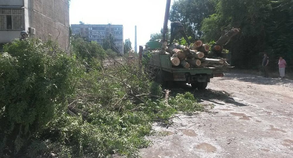 Вырубка деревьев в микрорайоне Восток-5