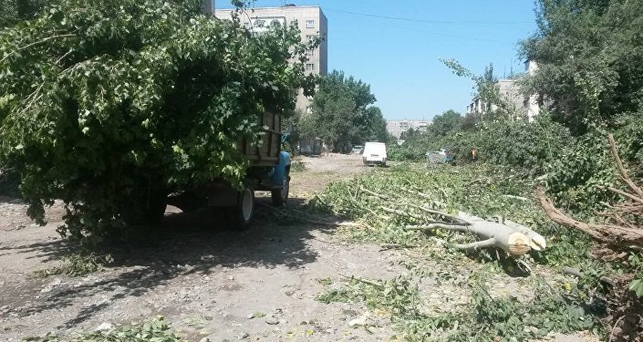Работники муниципального предприятия Зеленстрой работали в спешке