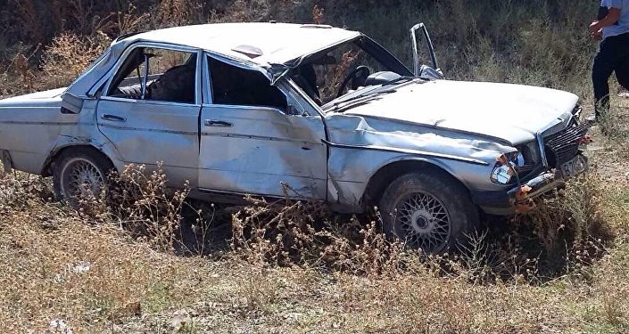 В Сокулукском районе Чуйской области водитель насмерть сбил четырех человек
