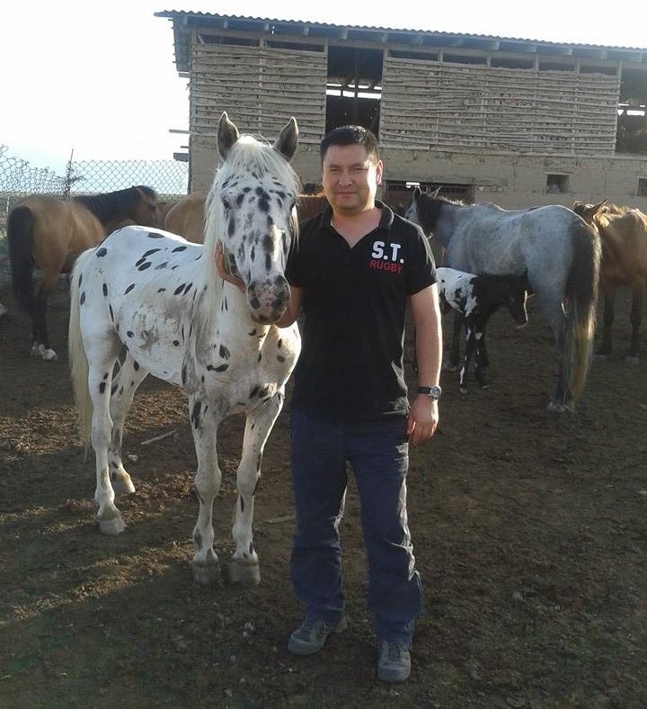 Разводчик пятнистых лошадей породы Аппалуза Мунарбек Кулданбаев