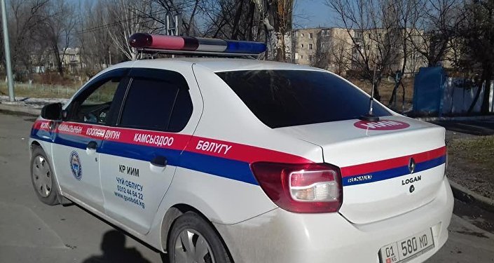 Читатели Sputnik Кыргызстан прислали фото патрульной машины с новым оформлением