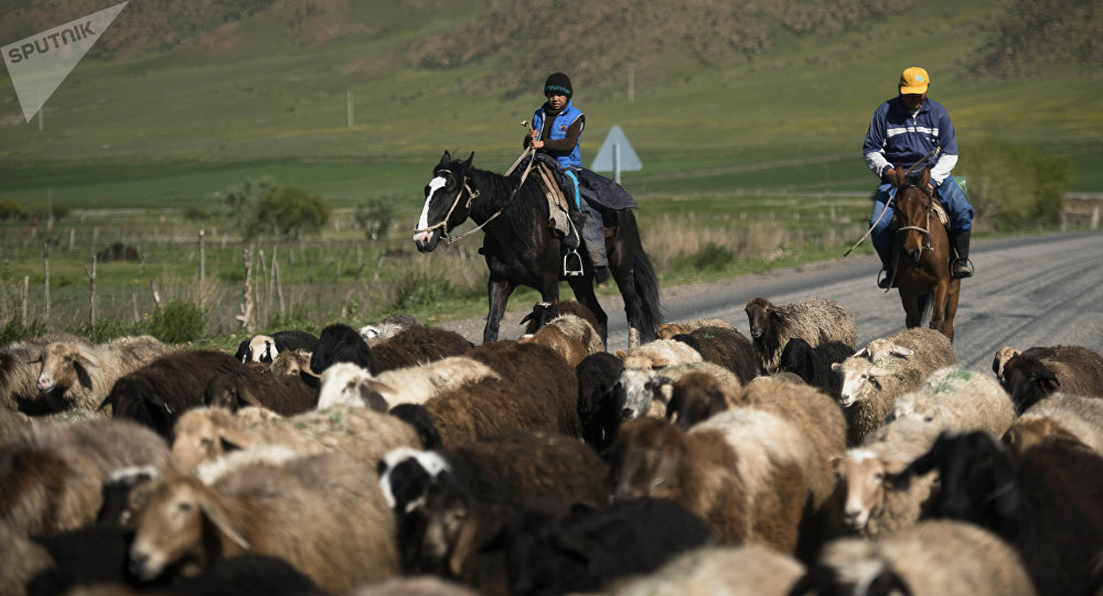 Как воспитывают детей в кыргызском селе — мнение новоиспеченного бишкекчанина