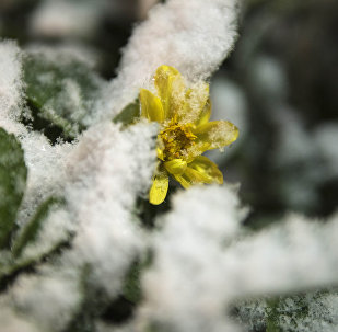1041573722 дело газета кыргызстан свежий номер