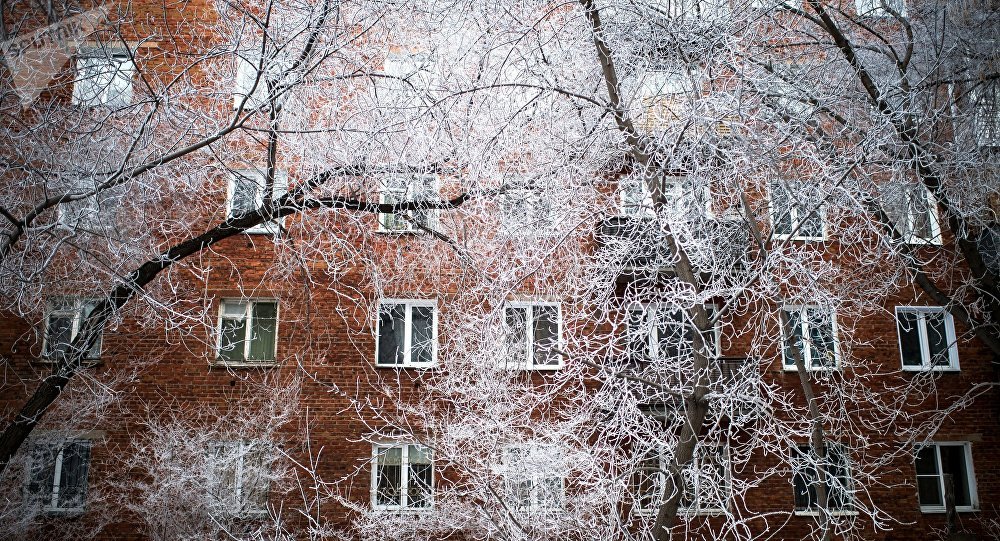 Снег и мороз — прогноз погоды по Кыргызстану на 20 декабря