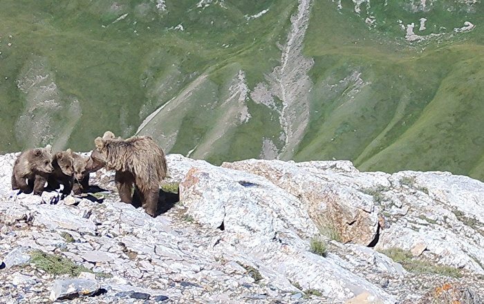 Гора три медведя республика тыва красноярский край