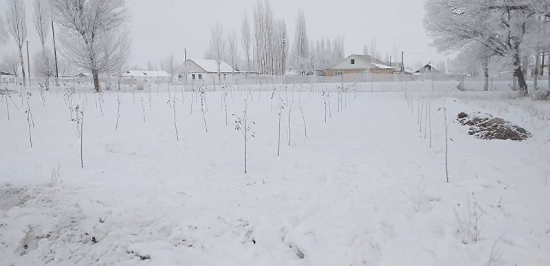 Село Кайынды-Булак в Ак-Талинском районе