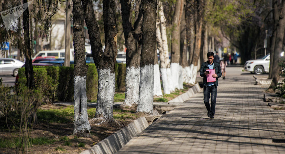 Бишкек фото улиц