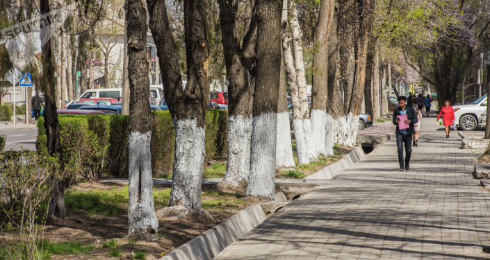 Люди идут по тротуару в Бишкеке. Архивное фото Люди идут по тротуару в Бишкеке. Архивное фото