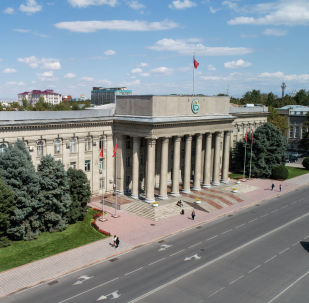 1045765563 киргизская газета дело номер