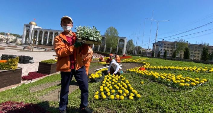 Город продолжает работу. С наступлением теплой погоды городские службы спешат обновить весенний облик столицы.