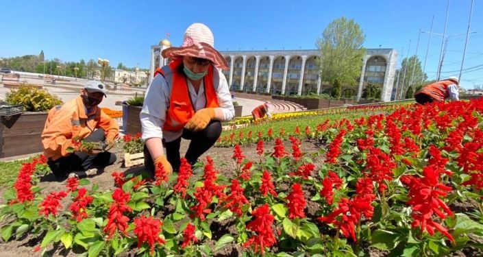 Город продолжает работу. С наступлением теплой погоды городские службы спешат обновить весенний облик столицы.