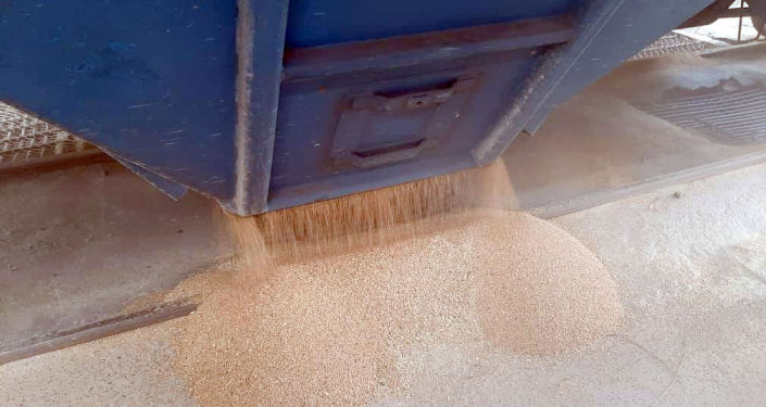 В Кыргызскую Республику из Российской Федерации доставлена вторая партия пшеницы в объеме 760 тонн.  На днях в страну прибудут еще 53 вагона пшеницы.