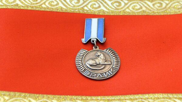 Медаль Эрдик. Архивное фото - Sputnik Кыргызстан